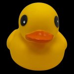 Rubber duck