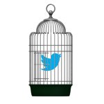 Bird in cage