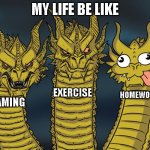 true true | MY LIFE BE LIKE; EXERCISE; HOMEWORK; GAMING | image tagged in three-headed dragon,memes,funny,life | made w/ Imgflip meme maker