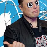 elon musk is stupid