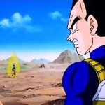 vegeta