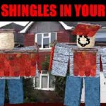 hot shingles in your area meme