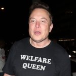 ELON MUSK Welfare Queen