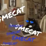 Mecat GIF Template