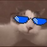 Mecat GIF Template