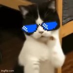 Mecat GIF Template