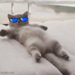 Mecat GIF Template