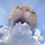 cat eating cloud meme