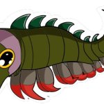 Anomalocaris Gigantis