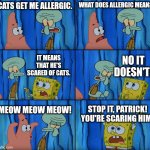 I'm actually allergic to cats | CATS GET ME ALLERGIC. WHAT DOES ALLERGIC MEAN? NO IT DOESN'T! IT MEANS THAT HE'S SCARED OF CATS. MEOW MEOW MEOW! STOP IT, PATRICK! YOU'RE SCARING HIM! | image tagged in stop it patrick you're scaring him,memes,funny,allergies | made w/ Imgflip meme maker