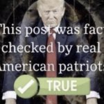 This post was fact checked by real American patriots template