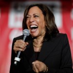 Kamala deep state