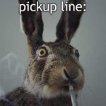 Rabbit smoking  | Rabbit pickup line:; "C'mon, bunny. Let your hare down." | image tagged in rabbit smoking | made w/ Imgflip meme maker