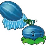 winter melon pult