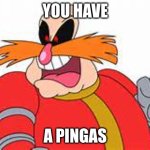 PINGAS | YOU HAVE; A PINGAS | image tagged in pingas | made w/ Imgflip meme maker