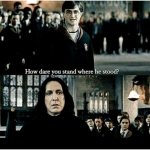 How Dare You Stand - Harry Potter