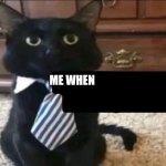 Me when cat