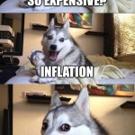 Get it? | WHY ARE BALLOONS SO EXPENSIVE? INFLATION | image tagged in memes,bad pun dog | made w/ Imgflip meme maker