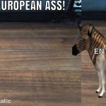 European ass meme