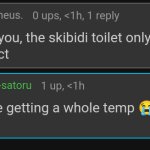 Skibidi toilet makes me erect meme