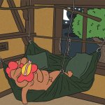 COQINU cozy zone