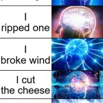 I think my brain just ripped one. | I farted; I passed gas; I ripped one; I broke wind; I cut the cheese; I tooted like a horn; My behind made a Bronx cheer | image tagged in memes,expanding brain,7-tier expanding brain,fart,raspberry,funny | made w/ Imgflip meme maker
