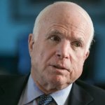 McCain Slaps Back