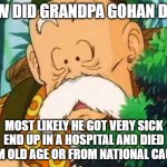 how did grandpa gohan die ? | HOW DID GRANDPA GOHAN DIE ? MOST LIKELY HE GOT VERY SICK END UP IN A HOSPITAL AND DIED FROM OLD AGE OR FROM NATIONAL CAUSES | image tagged in grandpa gohan,died,dead memes,dragon ball z,anime,you will die in 0 05 | made w/ Imgflip meme maker