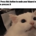 . | Button: Press this button to undo your biggest mistake
My mom: presses it
Me: | image tagged in gifs,mistakes | made w/ Imgflip video-to-gif maker