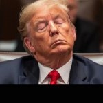 Trump Sleeping in Court