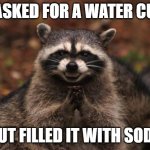 Sneaky Racoon | I ASKED FOR A WATER CUP; BUT FILLED IT WITH SODA | image tagged in racoon,evil genius racoon,soda,memes | made w/ Imgflip meme maker