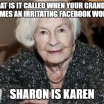 Grandmother | WHAT IS IT CALLED WHEN YOUR GRANDMA BECOMES AN IRRITATING FACEBOOK WOMAN? SHARON IS KAREN | image tagged in grandmother | made w/ Imgflip meme maker