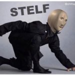 stelth meme