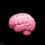 Brain