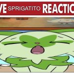 Live weird sprigatito reaction