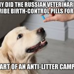 Russian Veterinarian | WHY DID THE RUSSIAN VETERINARIAN PRESCRIBE BIRTH-CONTROL PILLS FOR DOGS? IT’S PART OF AN ANTI-LITTER CAMPAIGN. | image tagged in dog and pill | made w/ Imgflip meme maker