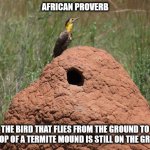 Still on the Ground 01 | AFRICAN PROVERB; THE BIRD THAT FLIES FROM THE GROUND TO THE TOP OF A TERMITE MOUND IS STILL ON THE GROUND | image tagged in campo flicker colaptes campestris fauna paraguay,african proverb,bird,termite mound | made w/ Imgflip meme maker