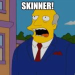 Chalmer | SKINNER! | image tagged in chalmer | made w/ Imgflip meme maker