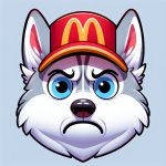 A disgusted husky wearing a McDonald's hat looking at the camrea