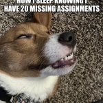 Sleeping dog | HOW I SLEEP KNOWING I HAVE 20 MISSING ASSIGNMENTS | image tagged in sleeping dog | made w/ Imgflip meme maker