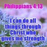 Philippians 4:13 | Philippians 4:13; I can do all things through Christ who gives me strength | image tagged in flowers | made w/ Imgflip meme maker