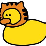 Cat duck