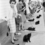 Childless Cat ladies lined up to vote against Trump/Vance