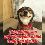 Proud Dog | The feeling you get when your name is NOT on the list. | image tagged in proud dog | made w/ Imgflip meme maker