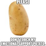 Emotional support potato | PLEASE; DON'T TOUCH MY EMOTIONAL SUPPORT POTATO. | image tagged in service potato,emotional support,potato chips | made w/ Imgflip meme maker