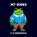 Meme Wednesday Frog