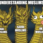 Uk Islam | UNDERSTANDING MUSLIMS; SAUDI MUSLIMS; UK MUSLIMS; UAE MUSLIMS | image tagged in three-headed dragon | made w/ Imgflip meme maker