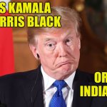 'Is She Black Or Indian?': Trump Attacks Harris's Racial Identity | IS KAMALA
HARRIS BLACK; OR
INDIAN? | image tagged in trump dumbfounded,kamala harris,racism,no racism,donald trump,scumbag america | made w/ Imgflip meme maker