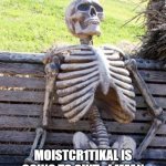 WE'LL MISS YOU CR1T1KAL | ME WHEN; MOISTCR1TIKAL IS GOING TO QUIT... I MEAN TAKE A HIATUS FROM YOUTUBE | image tagged in memes,waiting skeleton,moist,moist critikal screaming,youtube,youtuber | made w/ Imgflip meme maker