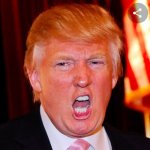 Orange Trump Grimace